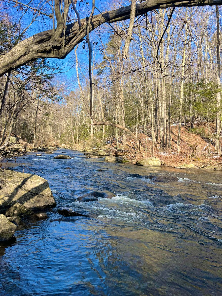 OnlyForFun2021's tweet photo. Nice river walk https://t.co/xlhOeoCj6G