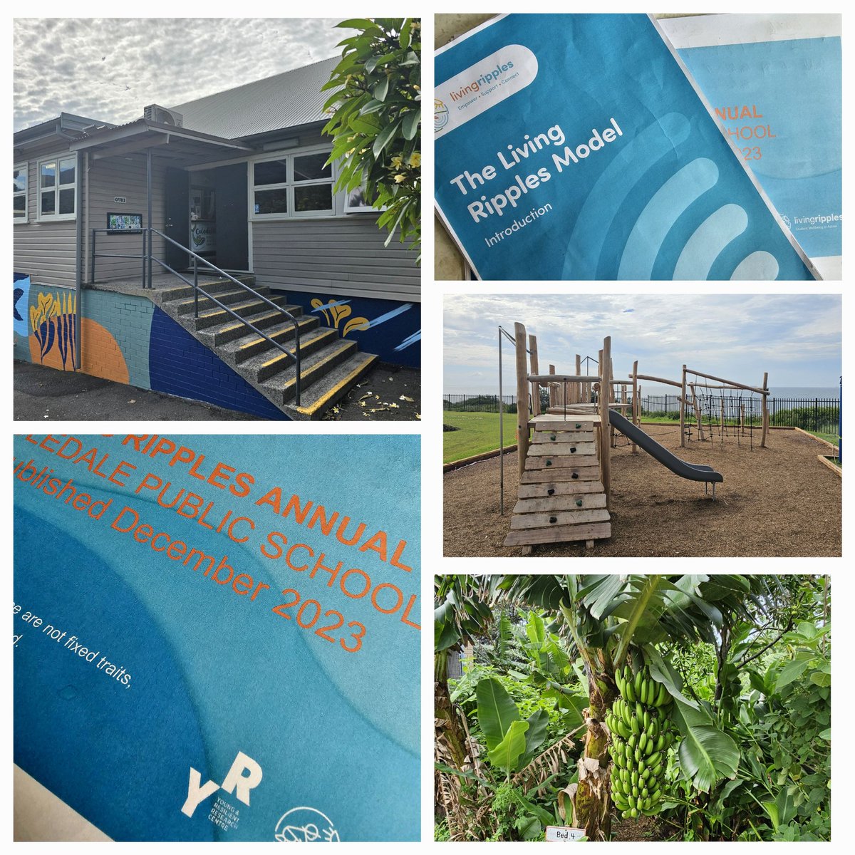 SMEEAndrew's tweet photo. Always great to hear how schools are supporting students & community as part of whole school wellbeing practices. Visit to #ColedalePS today to meet with Principal Bernadette Stephens to relect upon #LivingRipples student voice data to inform 2024 school wellbeing initiatives. 🥳 https://t.co/HpM17ICVvW