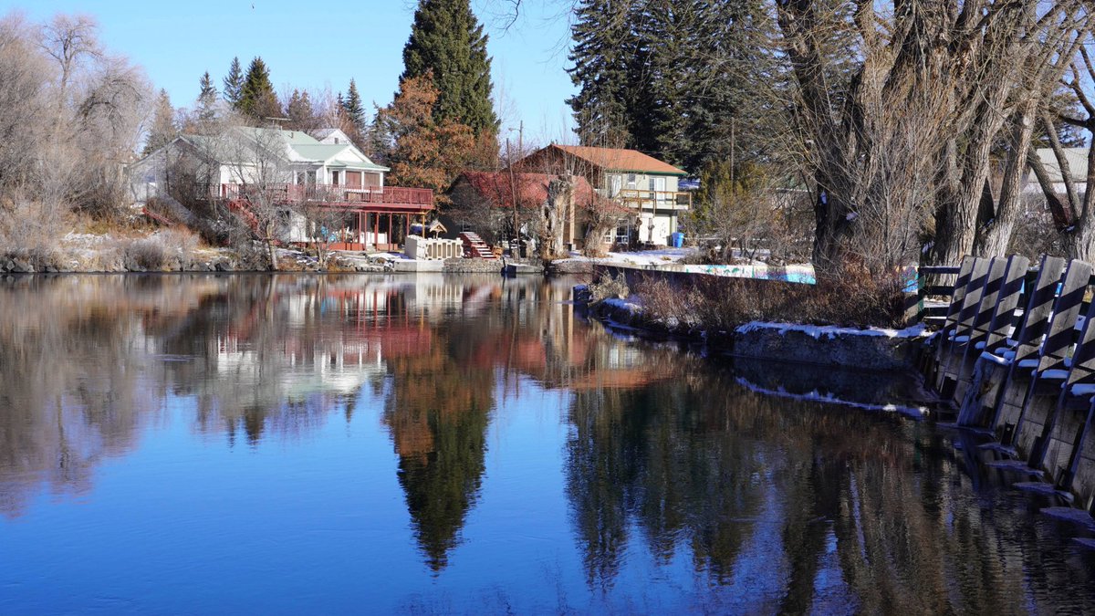 Natalia Hepworth tweet media