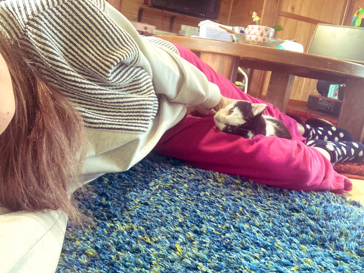 kakiwada's tweet photo. 🐈‍⬛💤 https://t.co/nEjwjW44fN
