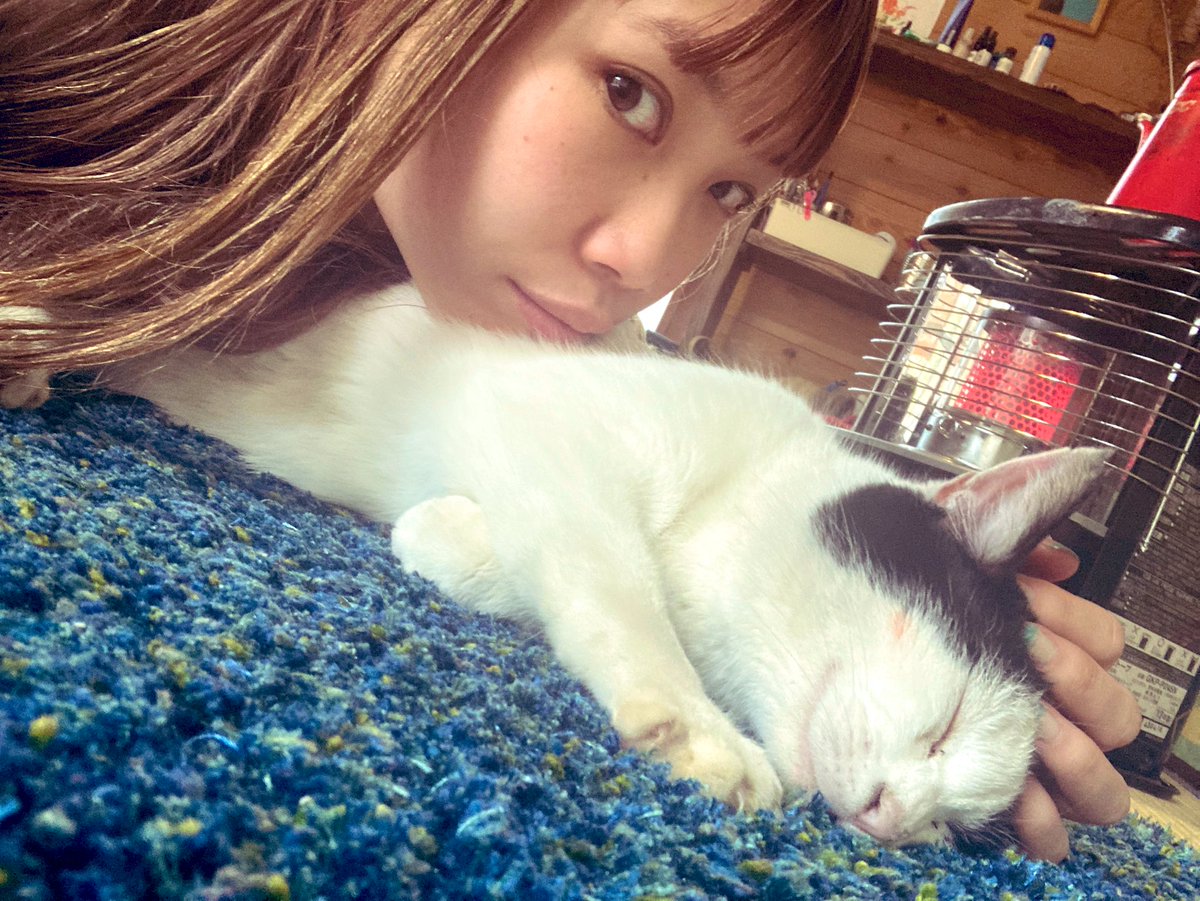 kakiwada's tweet photo. 🐈‍⬛💤 https://t.co/nEjwjW44fN