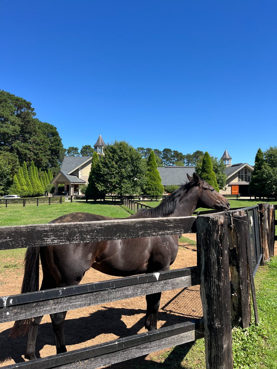 BTXRacing's tweet photo. A beautiful Sunday taking our owners around the magical Bong Bong Farm!
A big thank you to @cmaherracing for your hospitality🐴🏆 https://t.co/EzY8hQQsnJ