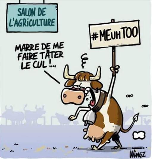 emily dumortier #TAEM #TEAMLecornu tweet media