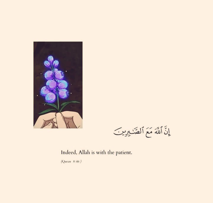 Assalamu Alaikum everyone❤