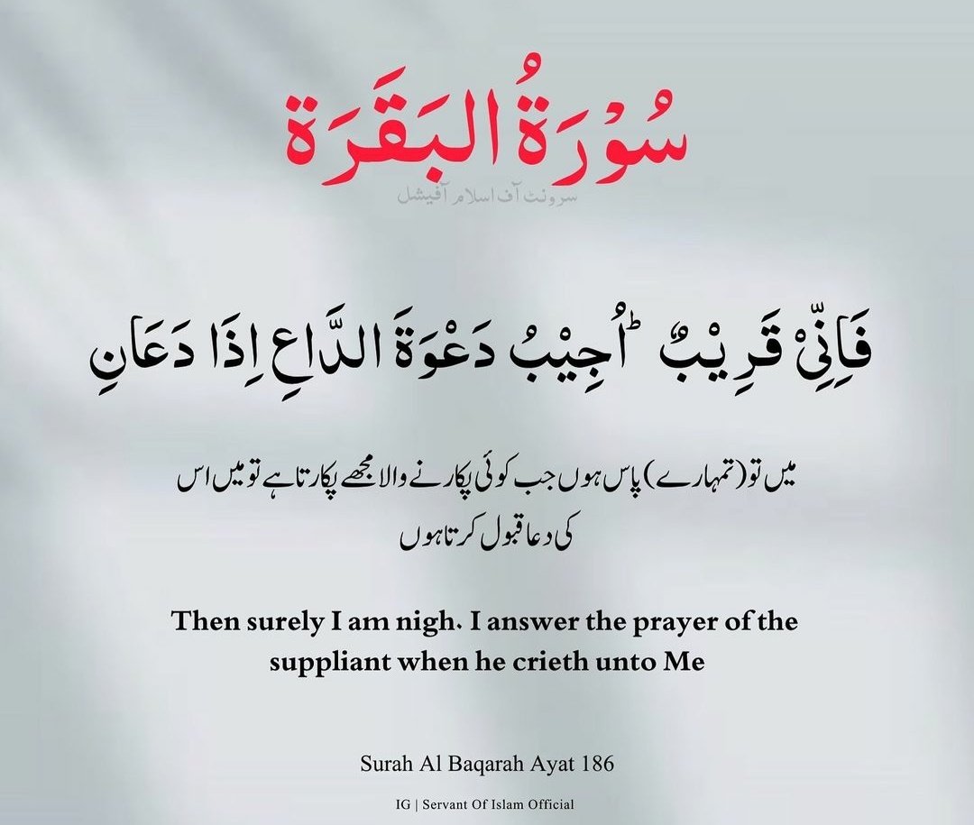 Subha bakhair.
Beshak allah duaon ka sunny wala ha.
#GodMorningMonday
#viralvideo 
#Shab_e_Barat 
#النصر_الشباب