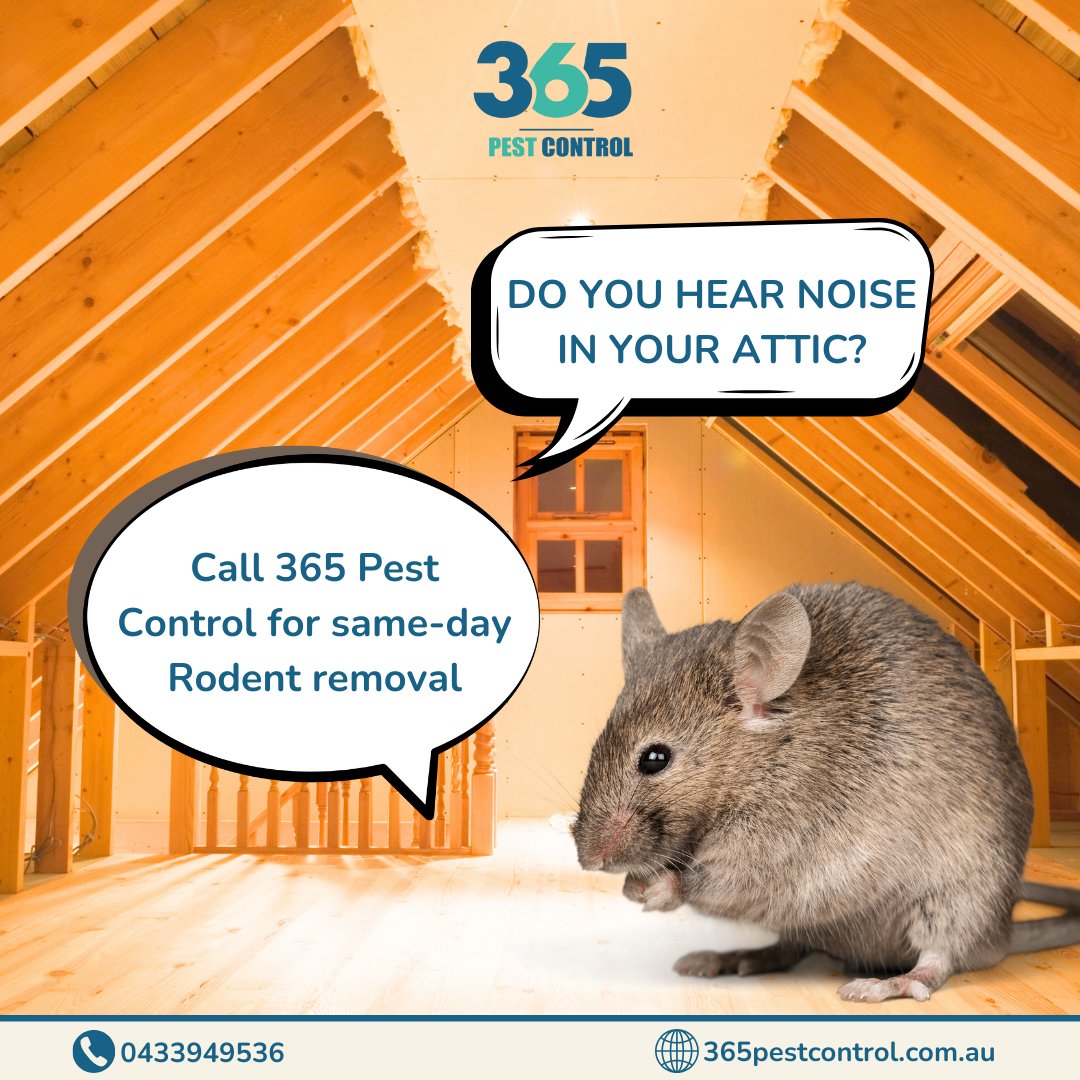 Book your Pest Control Services on 365 pest control in Wyndham Vale

Call us today @ 0433949536

Visit us: 365pestcontrol.com.au/pest-control-w…

#pestcontrol #pestcontrolservice #pest #pets #pestmanagement #rodentcontrol #ratcontrolservices #rat #rodent #mouse #ratcontrol #365pestcontrol