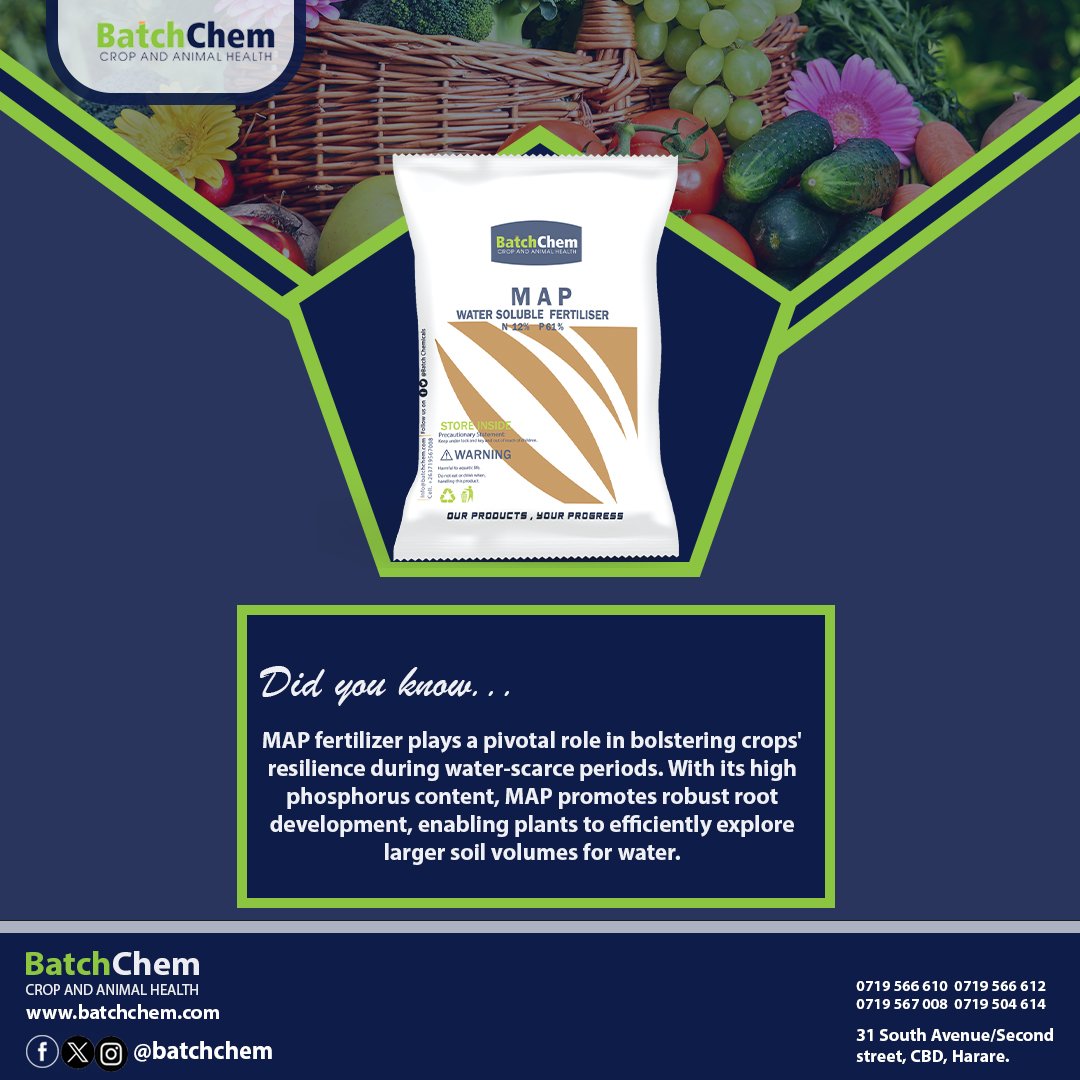 MAP facilitates rapid nutrient absorption, a valuable trait in regions with limited water availability. 

Visit or Call Us Today &amp; Purchase Your MAP Fertiliser!
Available in Small Packs and in Bulk (25Kgs).
#OurProductsYourProgress🔥