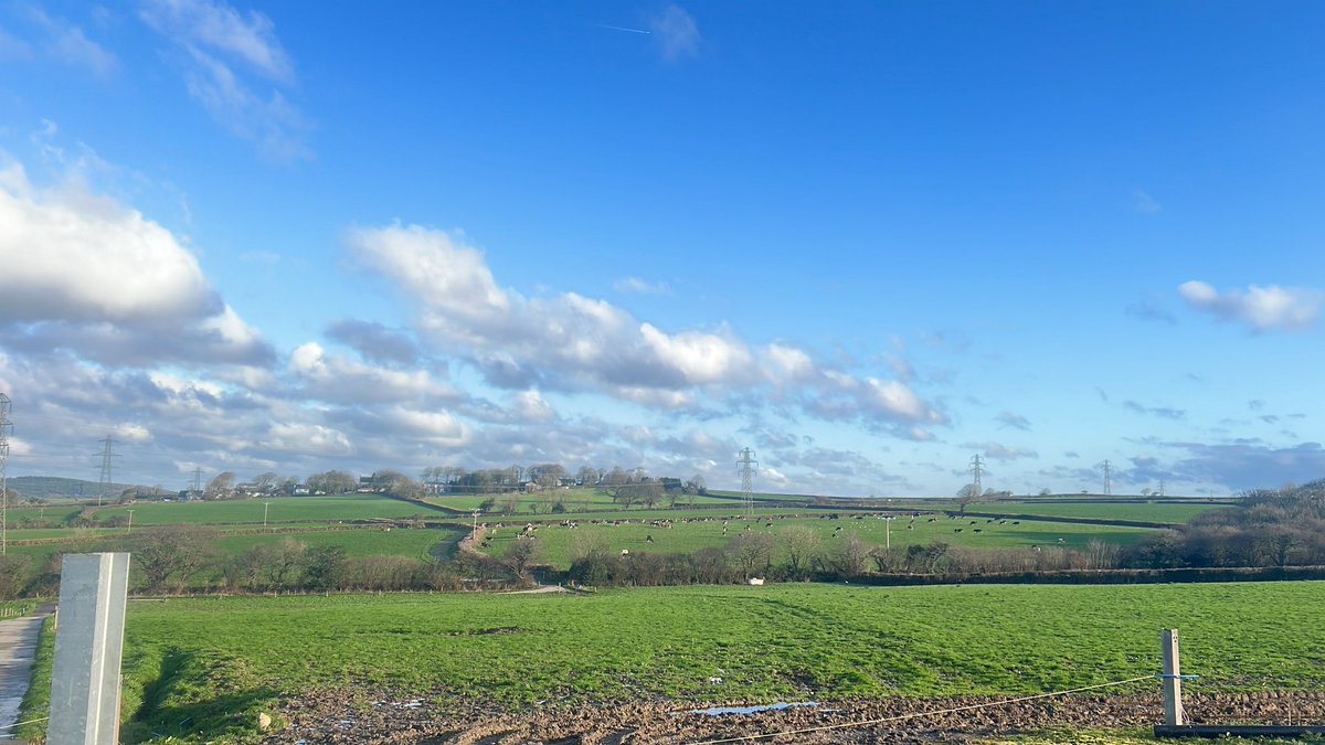 Dan Nattle tweet media