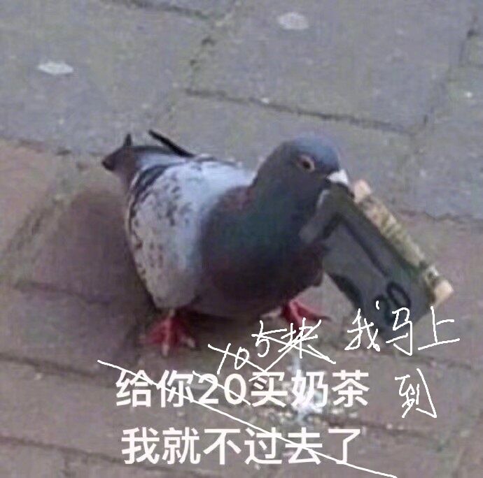 人生就是不断和自己妥协的过程。