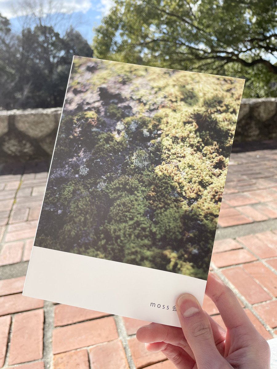 moss_kengei's tweet photo. moss会報到着しました！
今日は15:30-17:30管理棟受付で読んだり買ったりできます。一冊500円！ https://t.co/cwL45vyirl