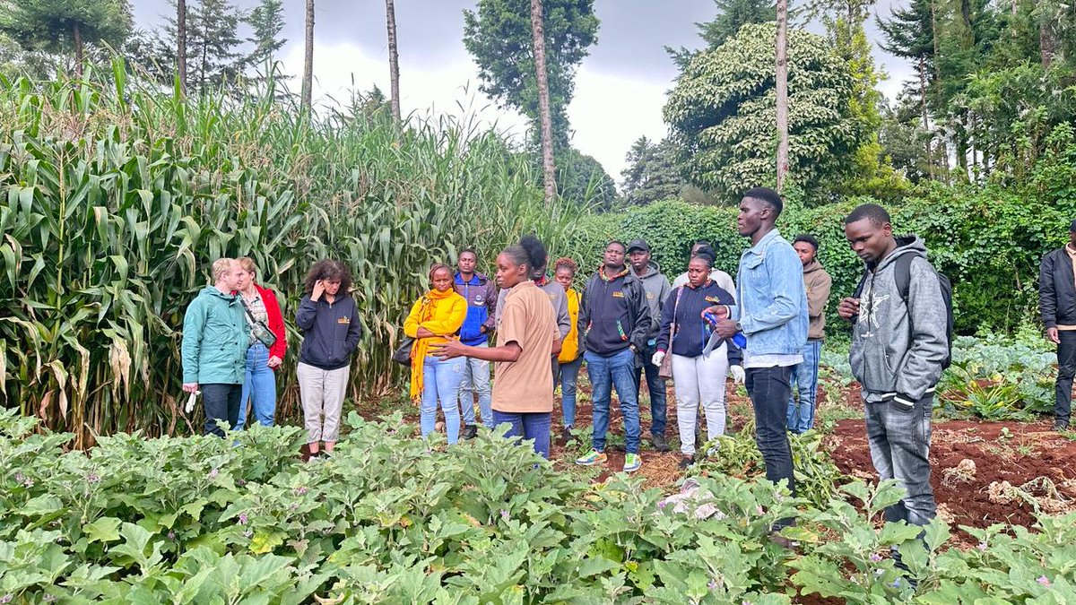 We had an opportunity to host a team from @KENAFF, @AHA_agrar and ECOYOUTH, which was very educative and a great networking opportunity. We look forward to more events like these where people learn and are willing to go and teach more people. #KilimoNiMboka