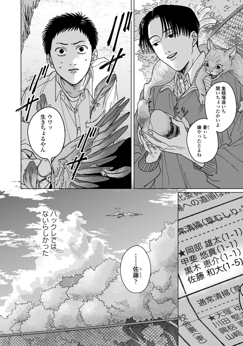 (3/6) 