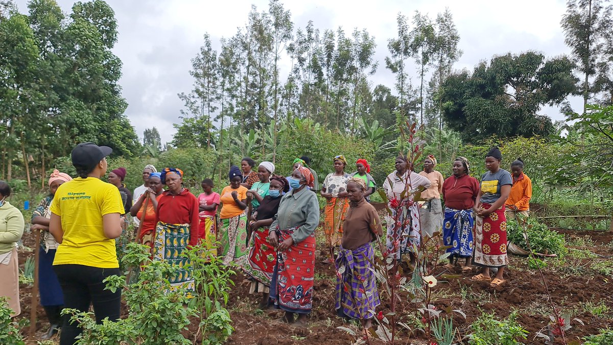 EBAFOSA Africa tweet media