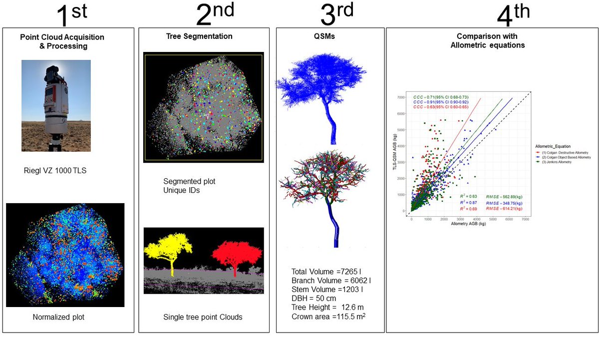 #LatestPaper
🌲Individual Tree-Scale Aboveground #Biomass Estimation of Woody Vegetation in a Semi-Arid Savanna Using 3D Data by Tasiyiwa Priscilla Muumbe, Jenia Singh, Jussi Baade, Pasi Raumonen, Corli Coetsee et al

mdpi.com/2072-4292/16/2…
#forest