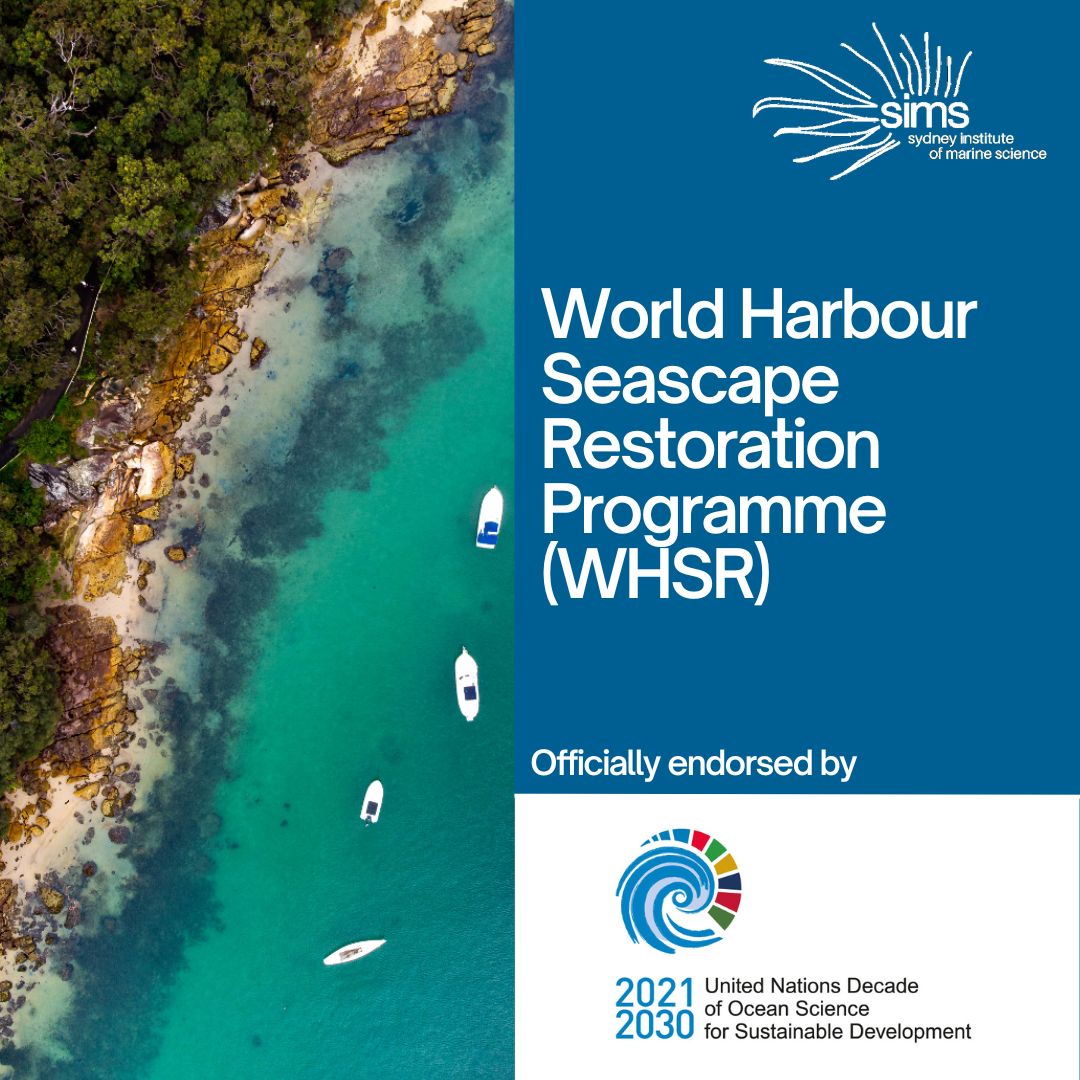 We are excited to announce that SIMS has been endorsed by the United Nations to lead the World Harbour Seascape Restoration Programme (WHSR). Read more here: sims.org.au/united-nations…