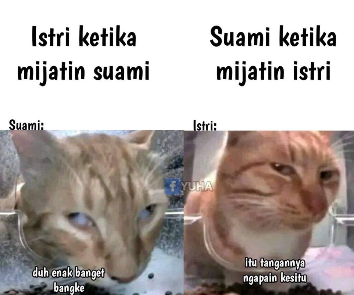 memefess's tweet photo. Yg mijet siapa yg keenakan siapa yeet! https://t.co/lDSAAakP8P