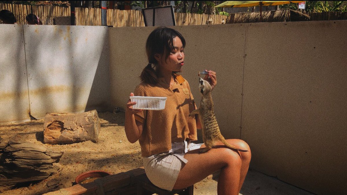 JaobearY's tweet photo. 1 Day in Maerim🛵✨ep 1
หยกจะพาทุกคนมาเล่นกับเหล่าน้องๆ ที่ Le Petit🐾 ทางร้านมีบริการขายอาหารทั้งของคนและสัตว์ ไม่เสียค่าเข้า มีพี่ๆคอยให้ความรู้เกี่ยวกับน้อนๆ หยกบอกเลยว่ามาที่นี่ที่เดียวได้ทั้งความรู้และได้สัมผัสความน่ารักของเหล่าน้องๆไปเต็มๆ🫶🏻
#คาเฟ่เชียงใหม่ #รีวิวเชียงใหม่ https://t.co/tjNP9Q2Chg