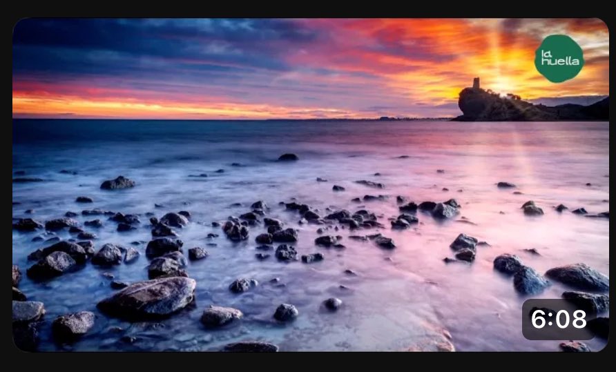 huellaecologic0's tweet photo. En La Huella: “@AlicanteRenace , un arbol por una foto”. Un reportaje emitido en @AlacantiTv
#Repor #MedioAmbiente
https://t.co/Vj15RP4Ls8 vía @YouTube @huellaecologic0 @KatiFerrero @enamoralicante https://t.co/6AKqii8RQd