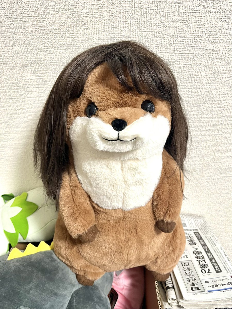 yugo_____'s tweet photo. うちの子すごい可愛くなった https://t.co/FIBRRjUfox
