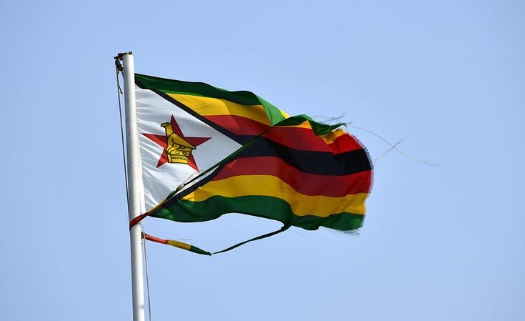 CMukungunugwa's tweet photo. For the Love of Zimbabwe #ItsInMyDNA 
Appreciation Post
No War
No hunger
Good leadership
The list is endless 🇿🇼🇿🇼🇿🇼🇿🇼

Like and repost https://t.co/uUvnuHcsXV