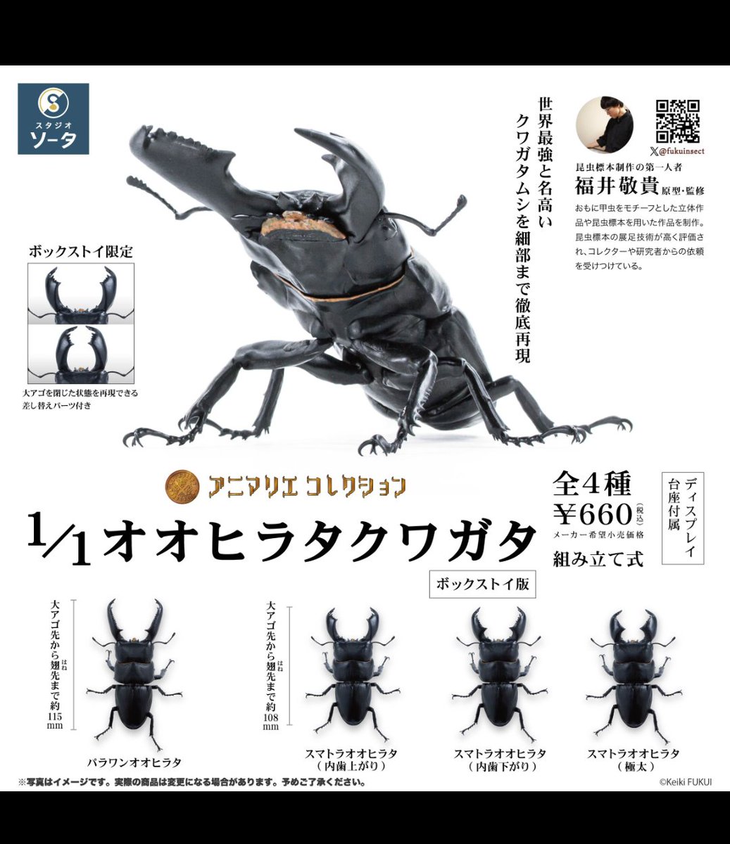 これは凄い！ #いきもの大図鑑 を超えてきてる！！！660のボックスで