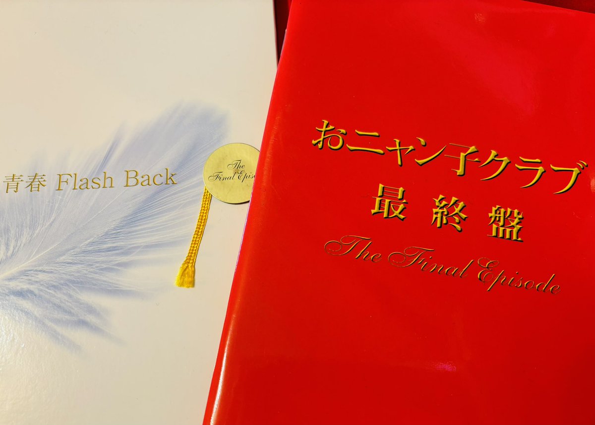 おニャン子クラブ 最終盤 & 青春 Flash Back 【公式通販】