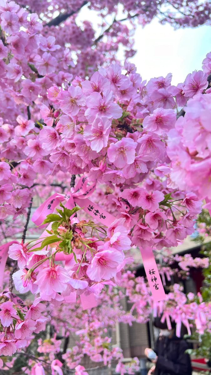 松本美佐 tweet media