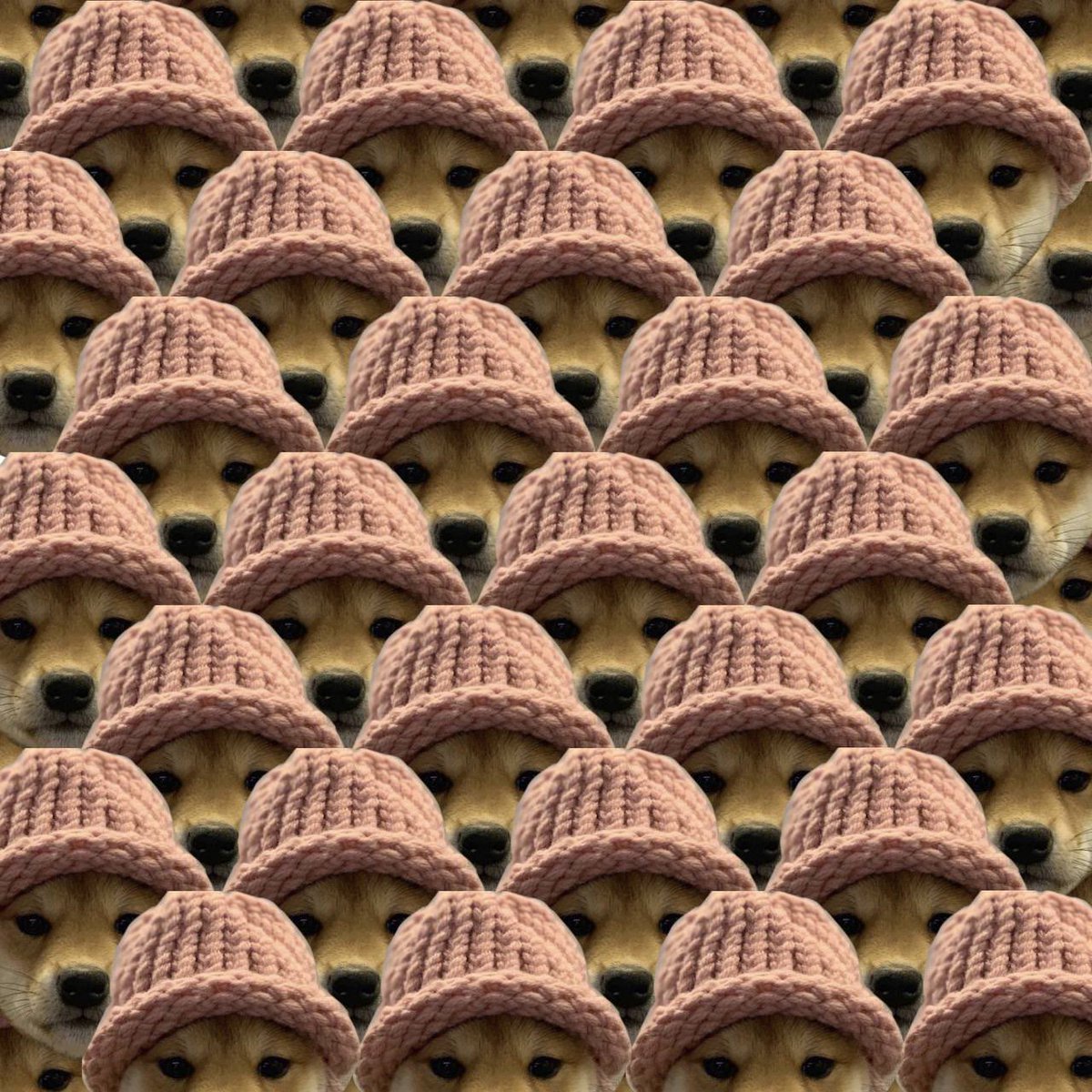 I think it’d gonna be a big week for a certain dog that wears a hat