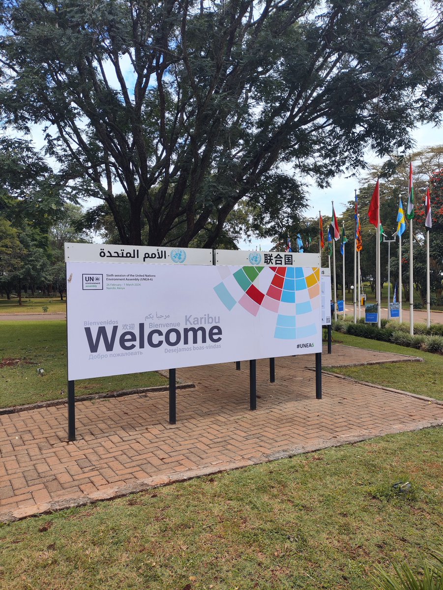 minamataMEA's tweet image. @UNEP welcomes 6,000 participants at #UNEA6 to focus on inclusive, multi-sectoral &amp;amp; science-based actions for climate change, nature loss &amp;amp; pollution.
 
In the exhibition area, #MinamataConvention Sec is displaying resources to #MakeMercuryHistory.
 
👉 bit.ly/UNEA6Minamata