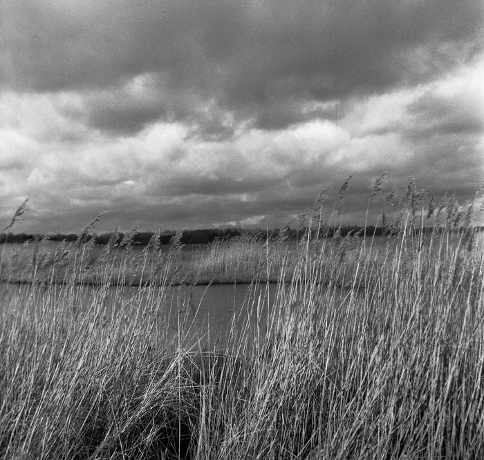 Winter on the marshlands @BWPMag @ILFORDPhoto #landscapephotography