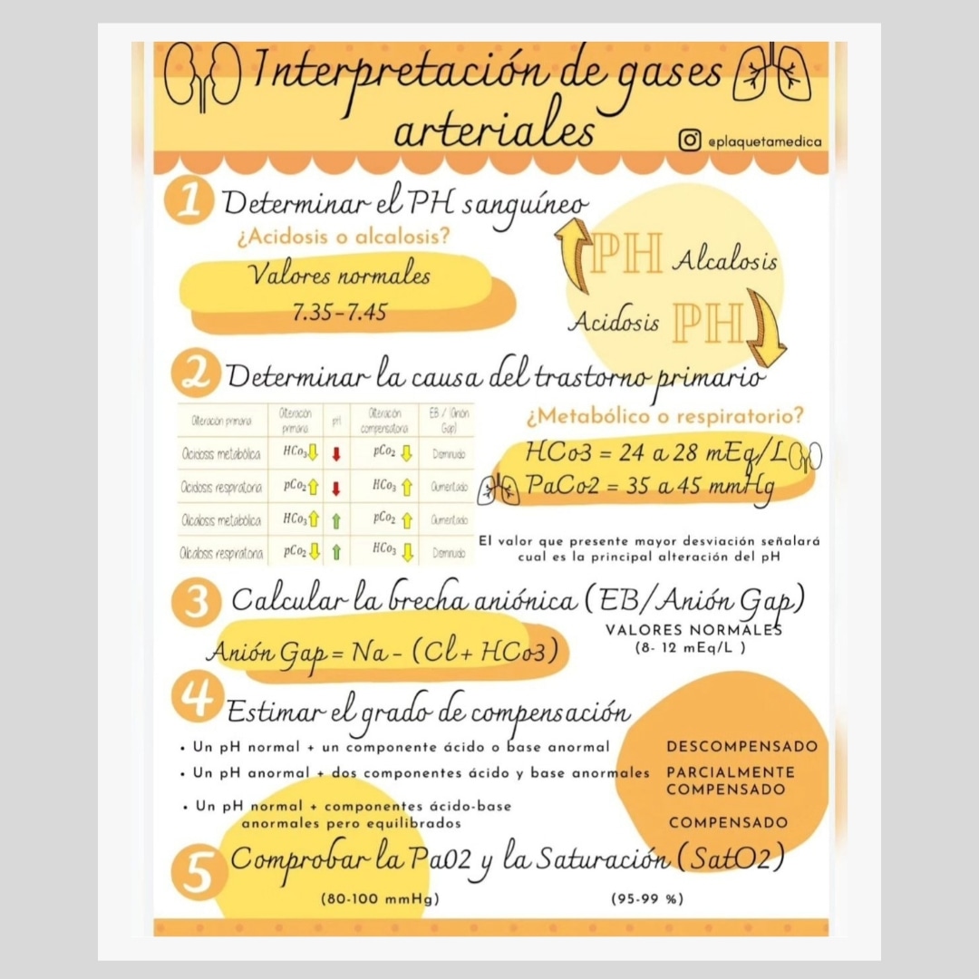 La interpretación de #gasesarteriales es crucial para evaluar la #funciónrespiratoria y la eficiencia del intercambio gaseoso en el cuerpo.
.
Infografía #plaquetamedica
.
#formacionsanitaria #cursosonline #medicina