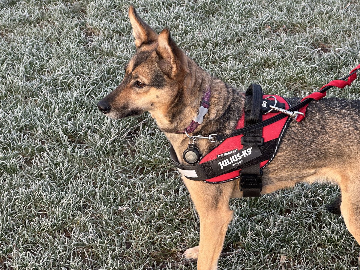 Rory Cellan-Jones tweet media