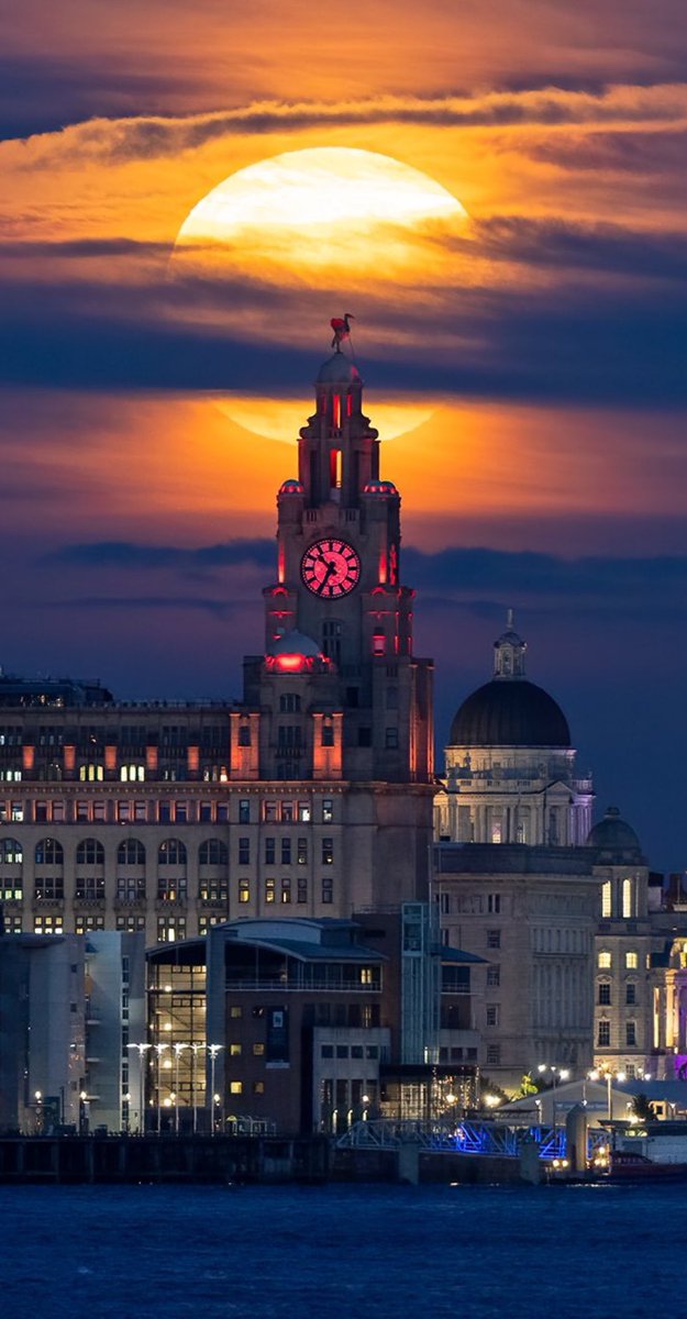 Free Screen saver 😍 Enjoy #Liverpool @angiesliverpool @LivEchonews @YOLiverpool @scousescene