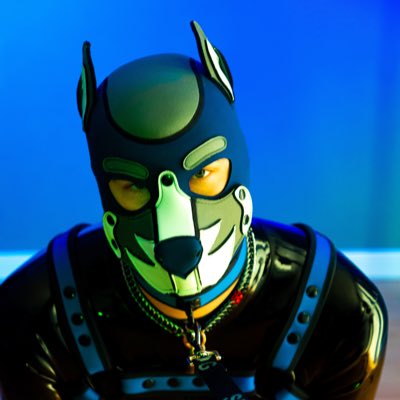 PupDusky's tweet photo. Same dog, new hood! Awwooo https://t.co/PrFCx147X7