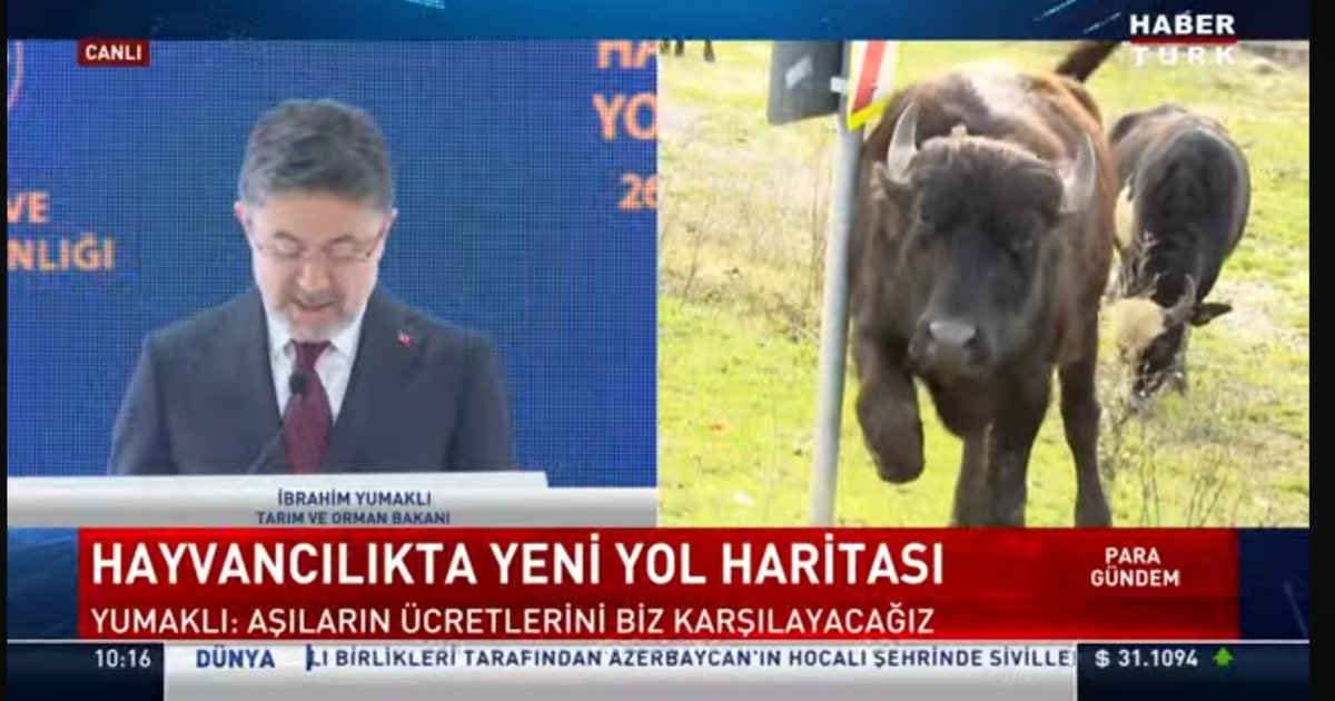 islam8563's tweet photo. Yapay et tercihi değil mecburi olması için hayvan sayısının kademeli olarak azaltılması gerekiyor.
Bunu hissettirmeden yapmanın en kolay yolu bedava aşılamadır. Aşı bedava lâkin hayvan aşı sebebi ile ölünce, düşük yapınca, kısır olunca, sakat kalınca sorumluluk sana ait. https://t.co/x57VmzHIWs