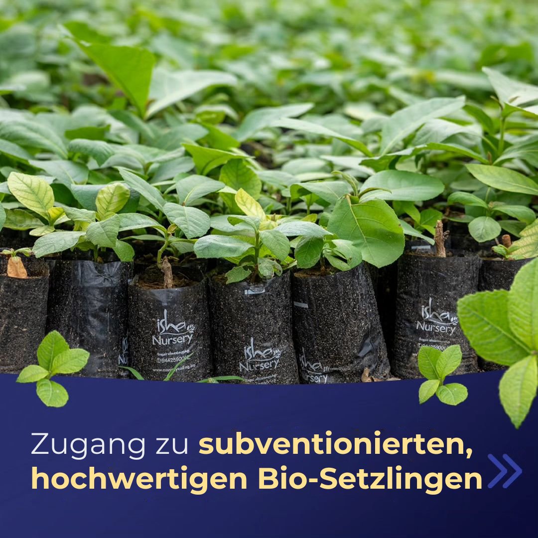 Das Programm #CauveryCalling Farmer Outreach bietet Landwirten, die auf baumbasierte Landwirtschaft umstellen, viele wichtige Dienstleistungen. Das Programm bietet Zugang zu hochwertigen Bildungsressourcen, subventionierten Bio-Setzlingen, kostenlosen Vor-Ort-Diensten usw.