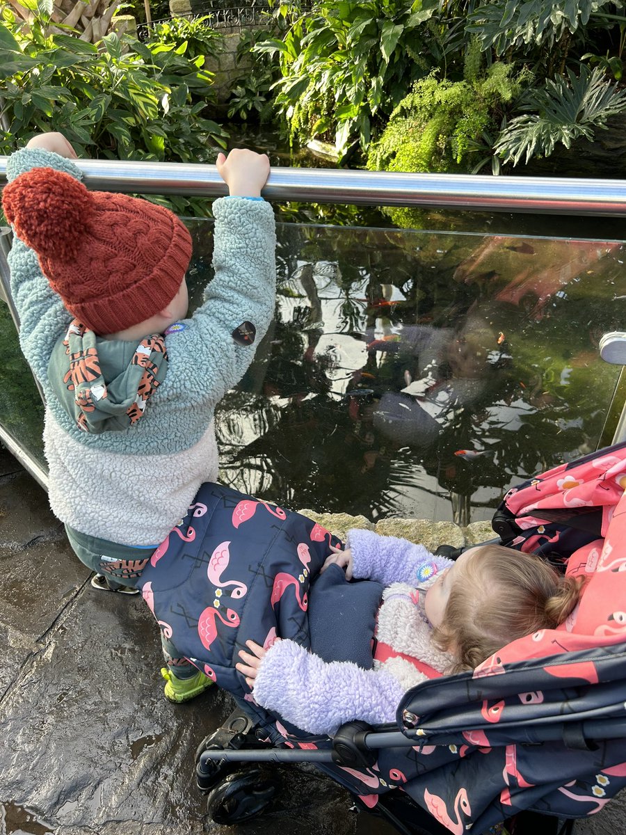 Visiting the fish, participating in shortbread championships, lots of Rugby and time with friends. A wholesome weekend with my family ❤️