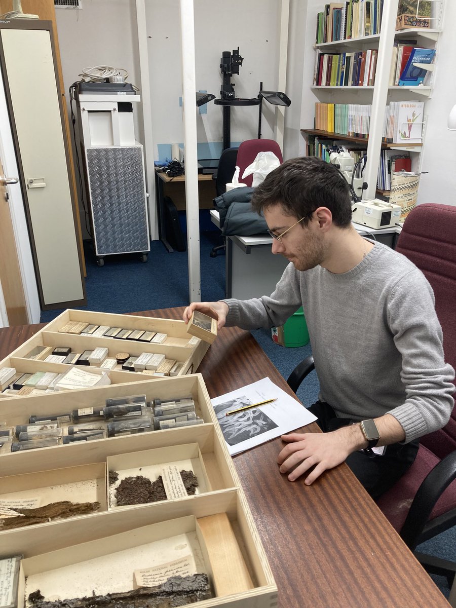 Filippo is a Global Ecology and Conservation master’s student <a href="/cardiffuni/">Cardiff University</a>. He’s visiting us <a href="/Museum_Cardiff/">Amgueddfa Caerdydd</a> to spread the word about slime moulds and to help us figure out the best way to communicate these amazing organisms!