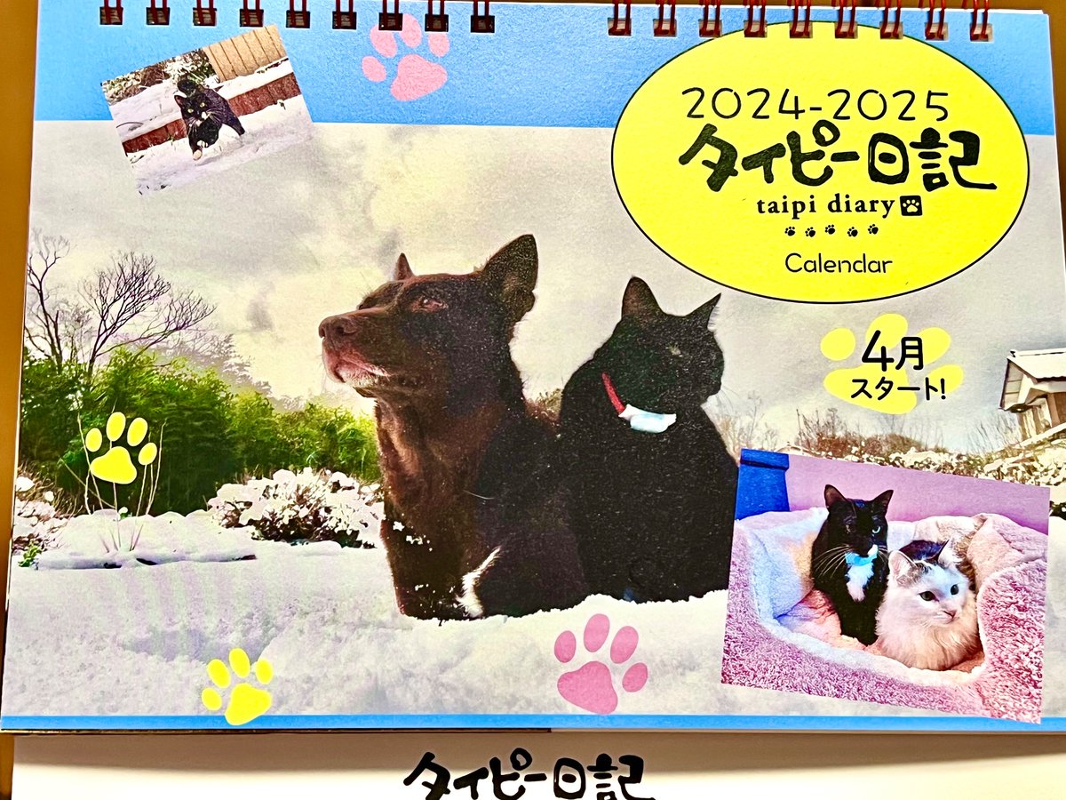aYydmbc6owGNNm8's tweet photo. タイピー日記4月始まりカレンダーができました！すでに予約がたくさんで皆さんありがとうございます！
今回は自分達で写真やデザイン全て手作りでとても思い入れのある作品となっています。みんなの表情も豊かで見ていて飽きないと思います。数量限定品となっています🎵https://t.co/I9WIrMnzUZ https://t.co/JjdKF98Iur
