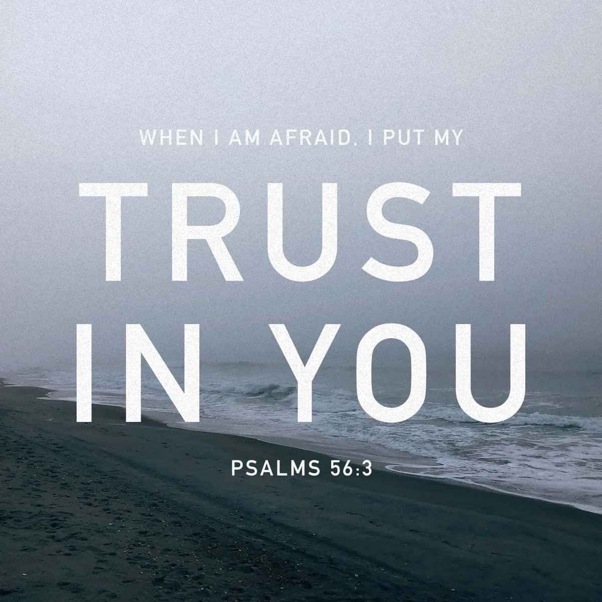 ”When I am afraid, I put my trust in you. In God, whose word I praise, in God I trust; I shall not be afraid. What can flesh do to me?“
Psalm 56:3-4 ESV
——
#bible #bibleverses #monday #mondayquotes #itrustinGod #trustinthelord