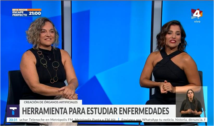 Muchas gracias <a href="/TelenocheUy/">Telenoche</a> (Canal 4) por la invitación para difundir el trabajo que venimos llevando a cabo con organoides intestinales en el <a href="/IPMontevideo/">Institut Pasteur Montevideo</a>