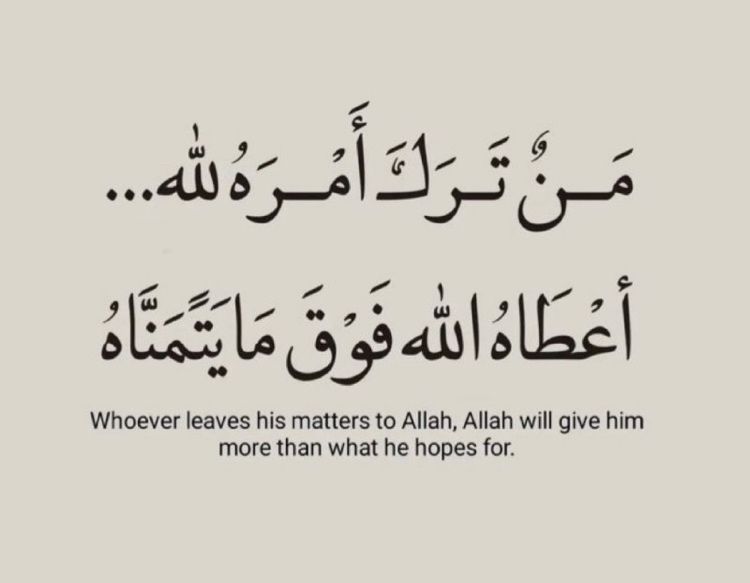 Yasmin Elshiekh (@yasminelsh33861) on Twitter photo 