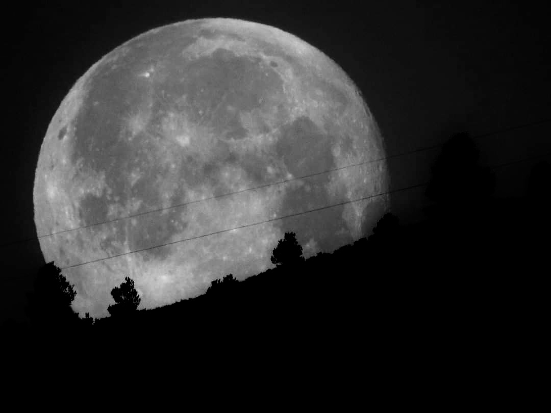 Ocaso de la Luna en el coll Rodo 
#Vilanovadescornalbou #cielosESA @AstroAventura @El_Universo_Hoy