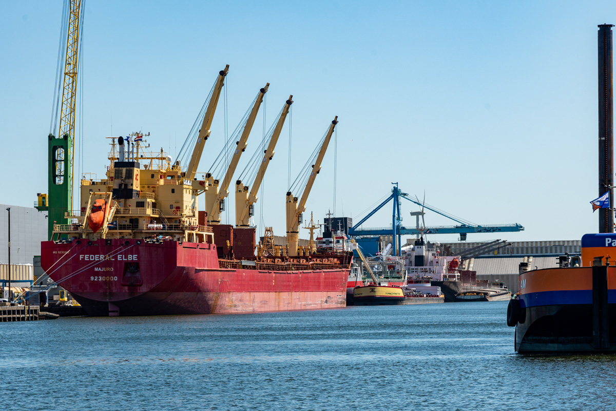 Lorenz van der Vliet tweet media