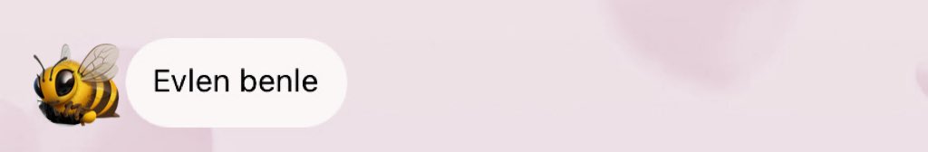 Ben beklediğim mesajı aldım ve elendim bb