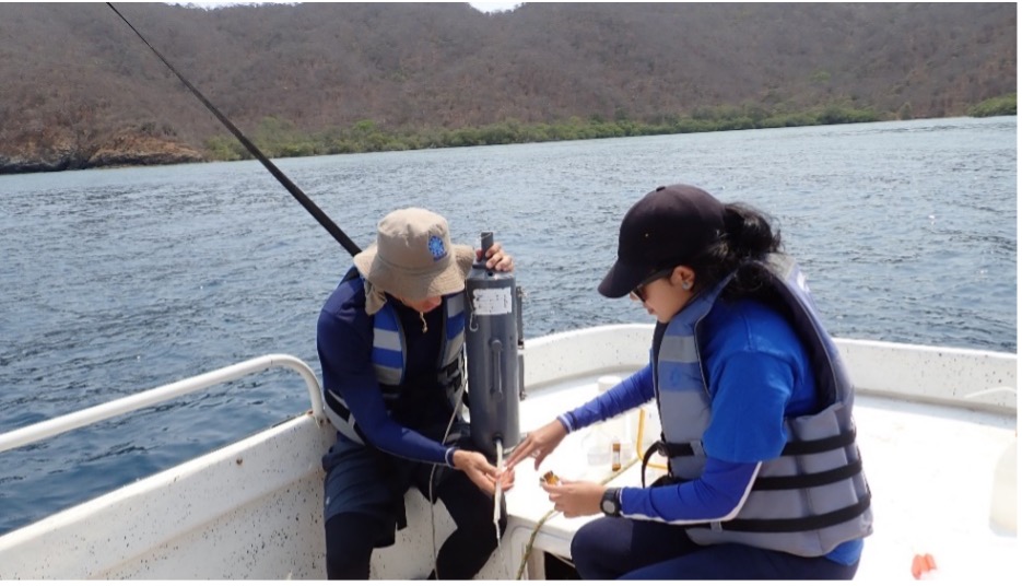 IOC/OTGA/INVEMAR: Curso in situ @colombia regional de capacitación y entrenamiento sobre medición del sistema de carbonatos para la evaluación del indicador de acidez media del mar 📅 6-10 de mayo de 2024 ⏳aplicar antes del 7 de marzo 2024 oceanexpert.org/event/4077