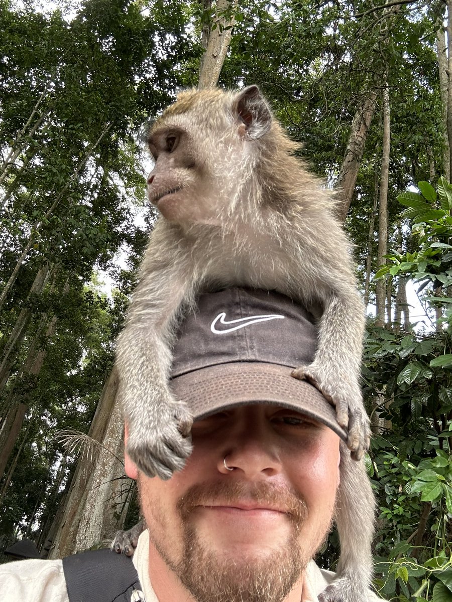 RabsFB's tweet image. Bali hittin