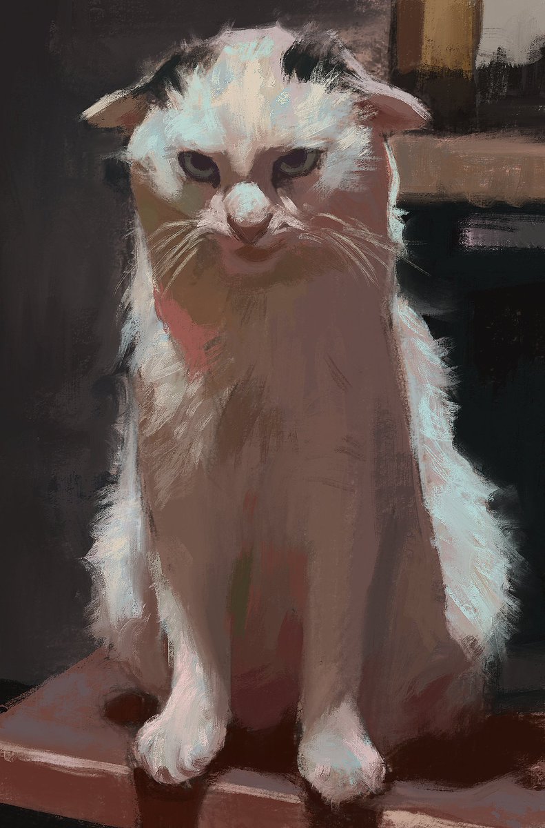 cat procreate painting