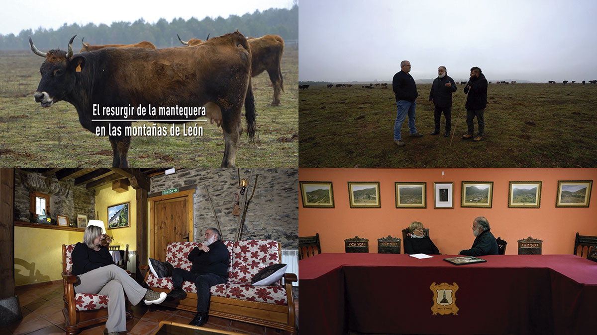 cyltv's tweet image. #ElArcón | Vuelve la mantequera a las montañas de León

Ya disponible ➡ cyltv.es/ficha/F9EFA356…