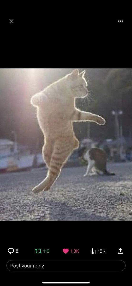 FFALKZ's tweet image. Tsimikas To VVD

#LIVCHE #LEAGUECUP  #LFC